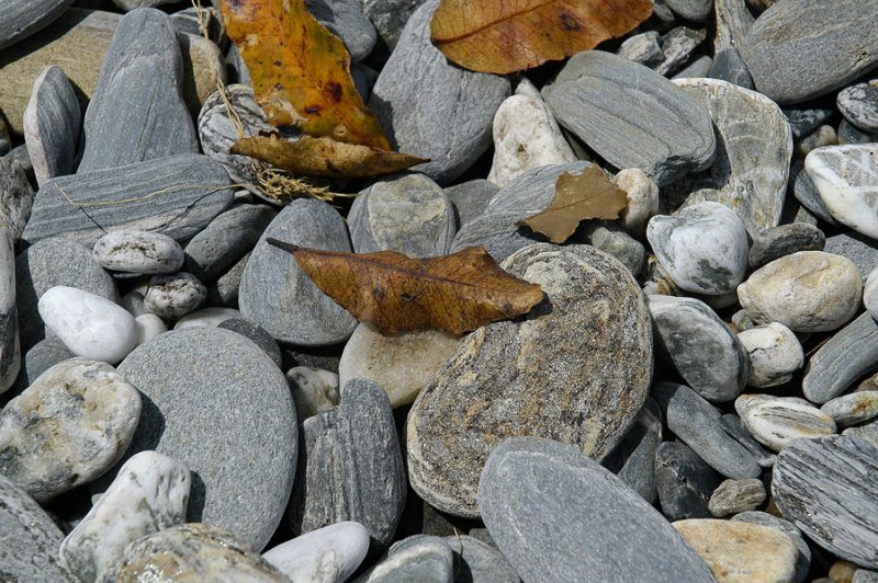 Beach pebbles, Bruce Bay, shiny mica shining in the granite and gneiss