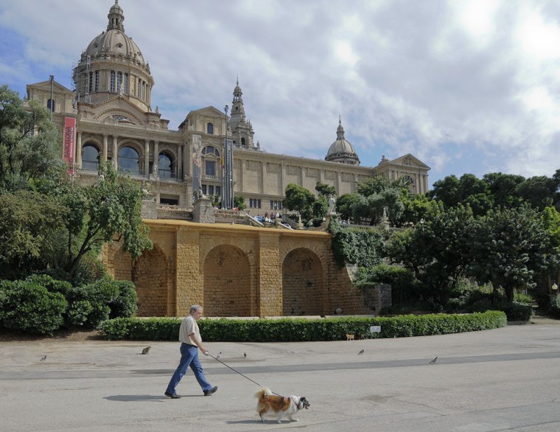 man walking dog