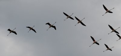 g1/19/247019/3/129298772.BmYKh7Hi.jpg