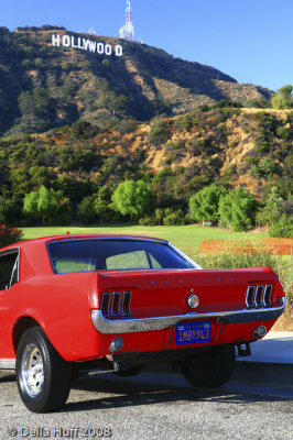 The Hollywood Sign Red Mustang