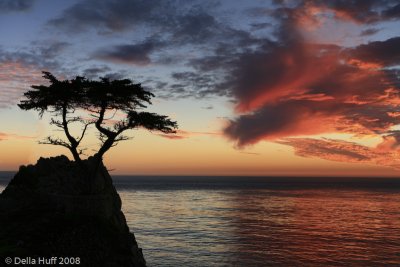 Lone Cypress Sunset