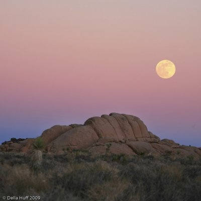 Moonrise, Joshua Tree National Park