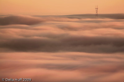 Sea of Fog and Sutro Tower