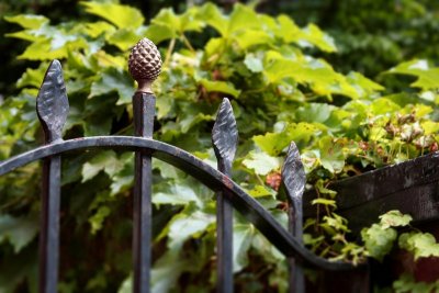 5 - Beacon Hill Details (iron gate and pine cone embellishment)