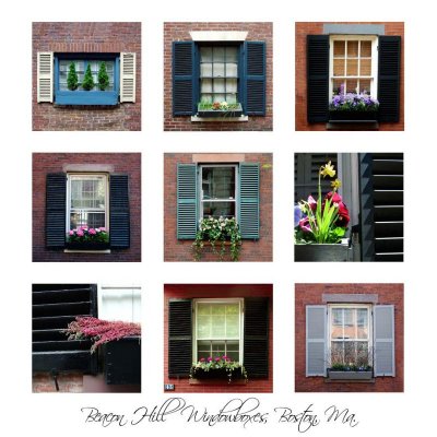 Photo Essay - Beacon Hill Windowboxes