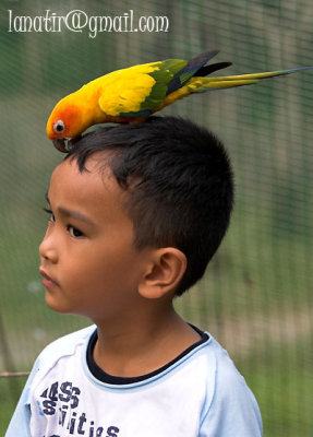 KL Bird Park