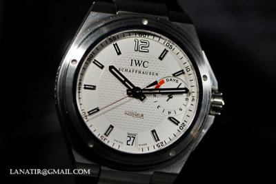 IWC 2008