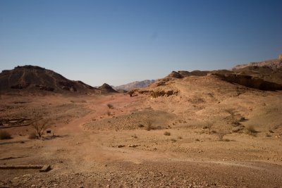 Timna