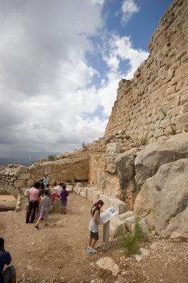 IMG_3321.jpg