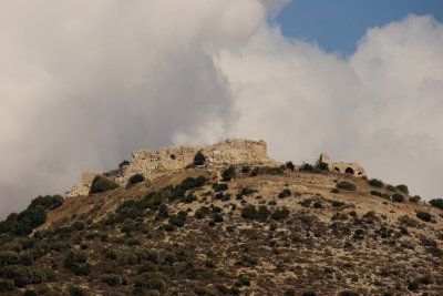 IMG_3366.jpg