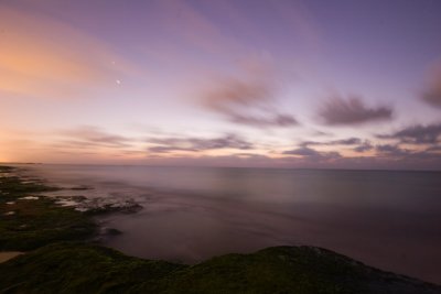 IMG_3699.jpg