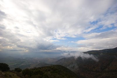 IMG_4313.jpg