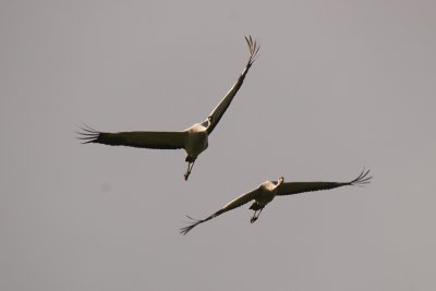 IMG_4322.jpg