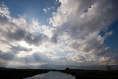 IMG_4362.jpg