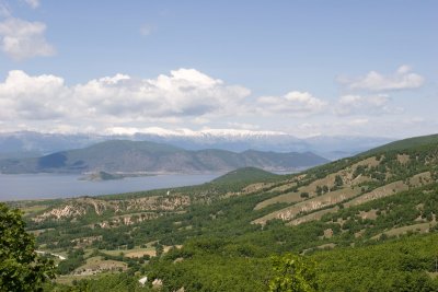 IMG_6747.jpg