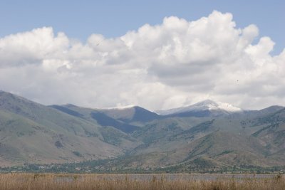 IMG_6786.jpg