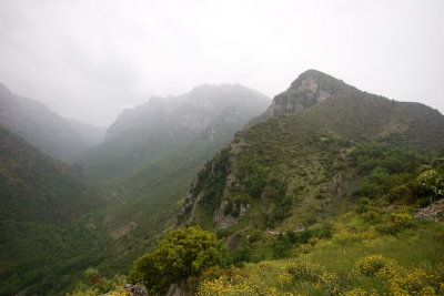 IMG_6837.jpg