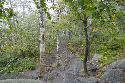 DSC00480.JPG