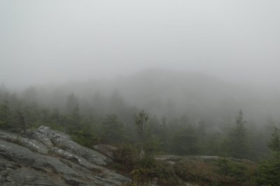 DSC00484.JPG