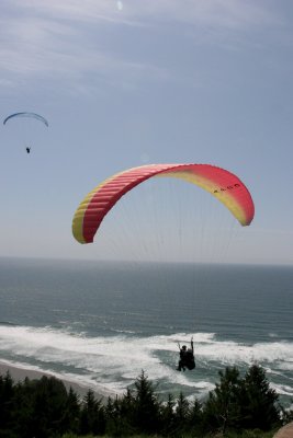IMG_4093.JPG