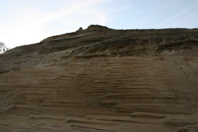 IMG_9682.jpg