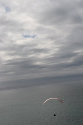 IMG_0133.jpg