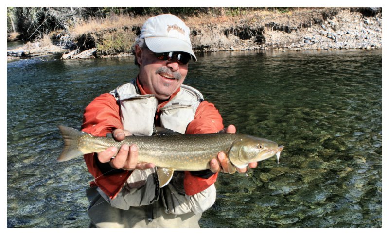 Elk River Bull Trout