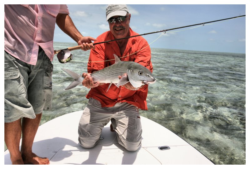 Bonefish