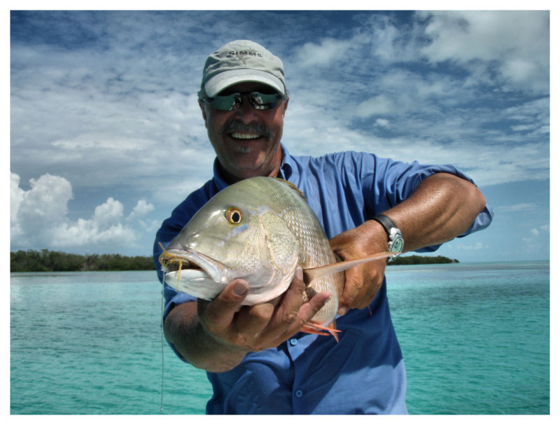 Snapper