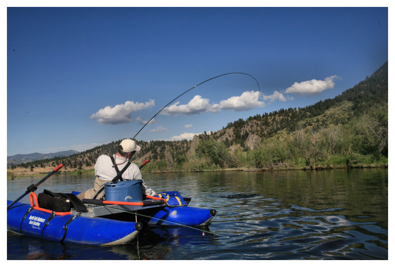 Bending the Rod