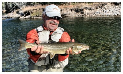 Elk River Bull Trout