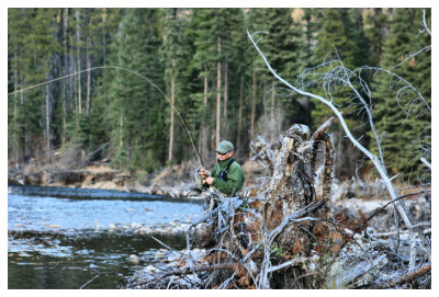 Angler and Roots