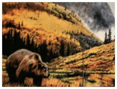 Ursus Horribilis