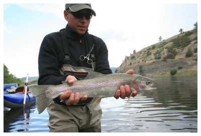 Missouri 'Bow