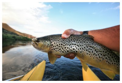 Missouri Brown