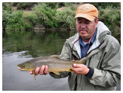 Backwater Brown