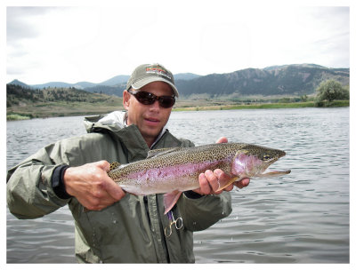 Long Jawed Rainbow