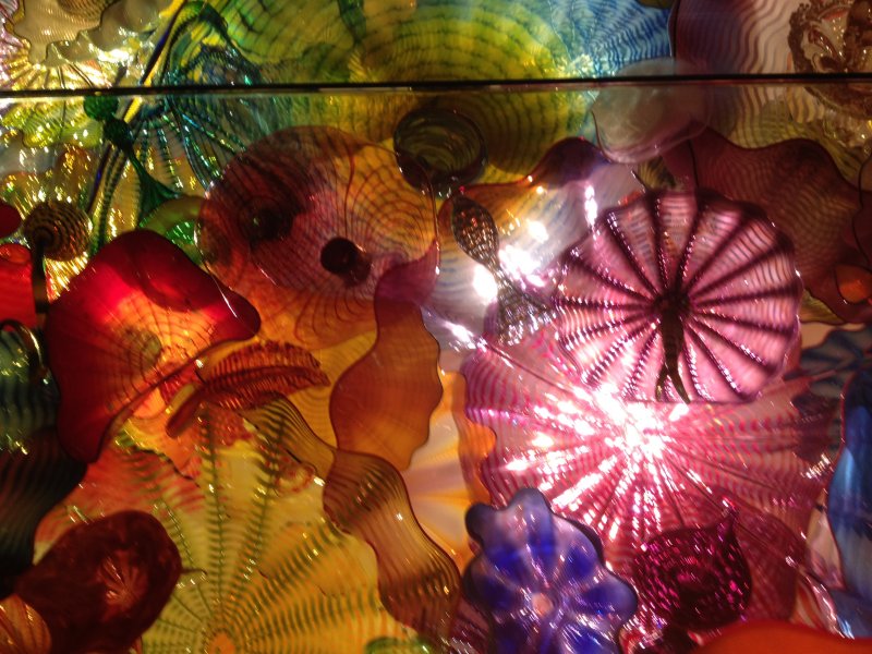 chihuly glass 