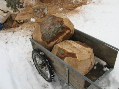 CartingToTheShop.jpg