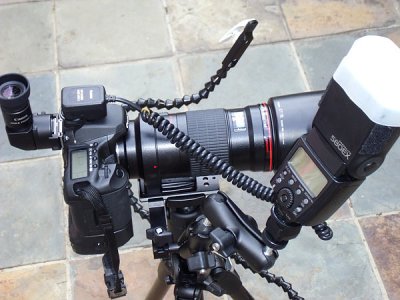 Macro-Setup with angle-finder/Wimberley Flash bracket