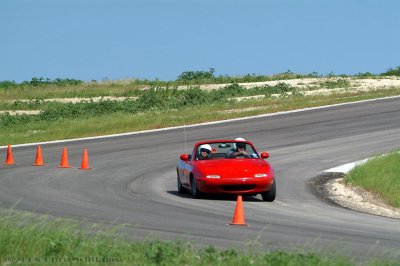 DSCF8347_1.jpg