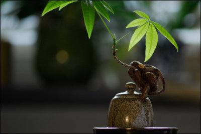 _DSC7869__.jpg