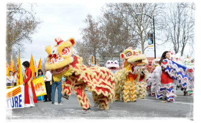 VietNamese New Year Ky Suu 2009