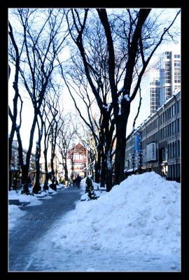 _DSC1165.jpg