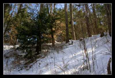 _DSC1700.jpg
