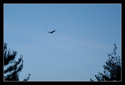 _DSC1893.jpg