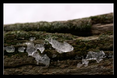 _DSC1997.jpg