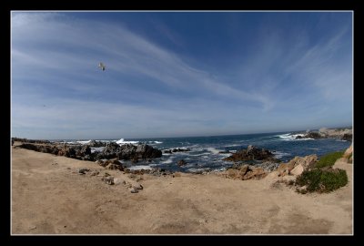 _DSC0148.jpg