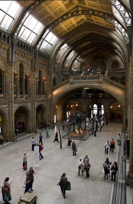 Main Hall of Natural History Museum