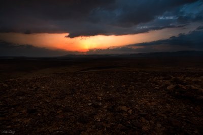 IMG_8883.jpg